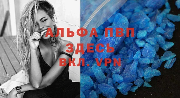 спиды Белокуриха