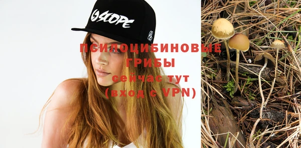 твердый Балахна